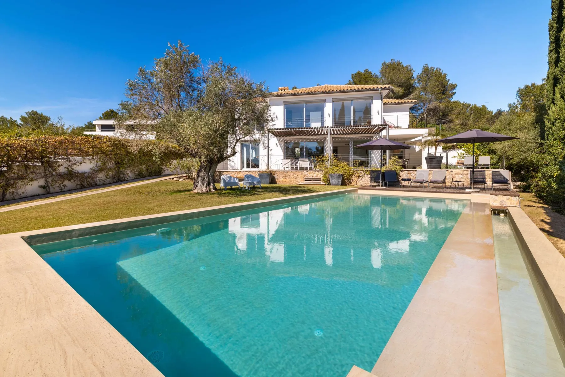 A modern house overlooks a swimming pool and landscaped garden.