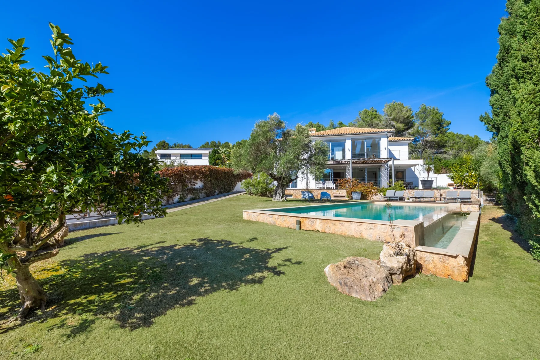 A landscaped yard surrounds a swimming pool in front of a modern house.