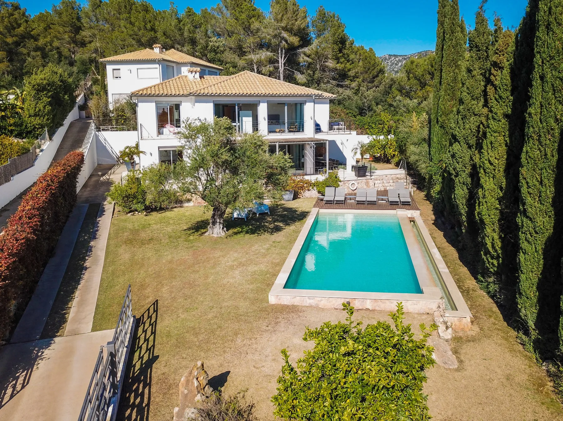 A house and swimming pool sit in a landscaped yard surrounded by trees.