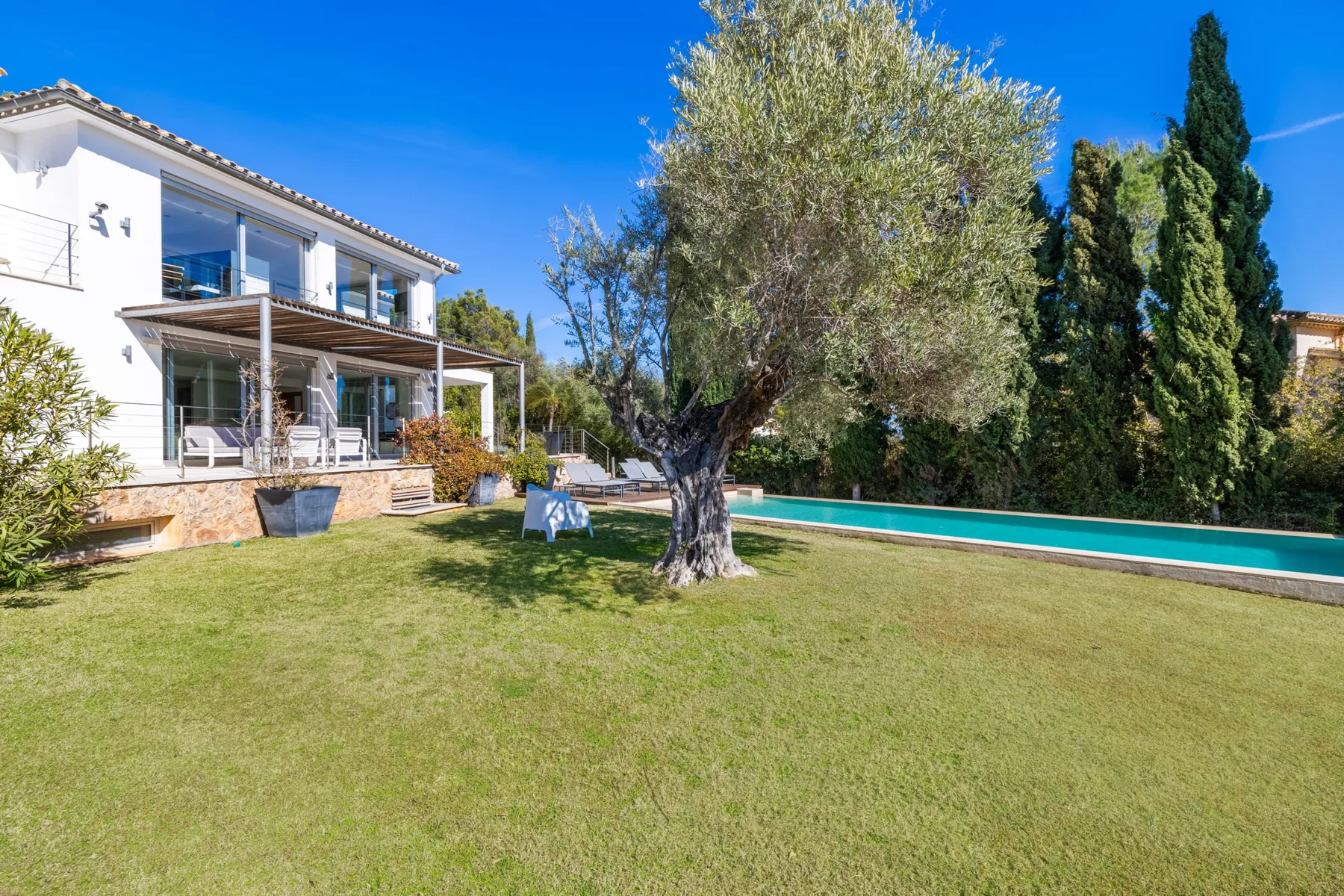 A landscaped garden surrounds a swimming pool beside a modern white house.