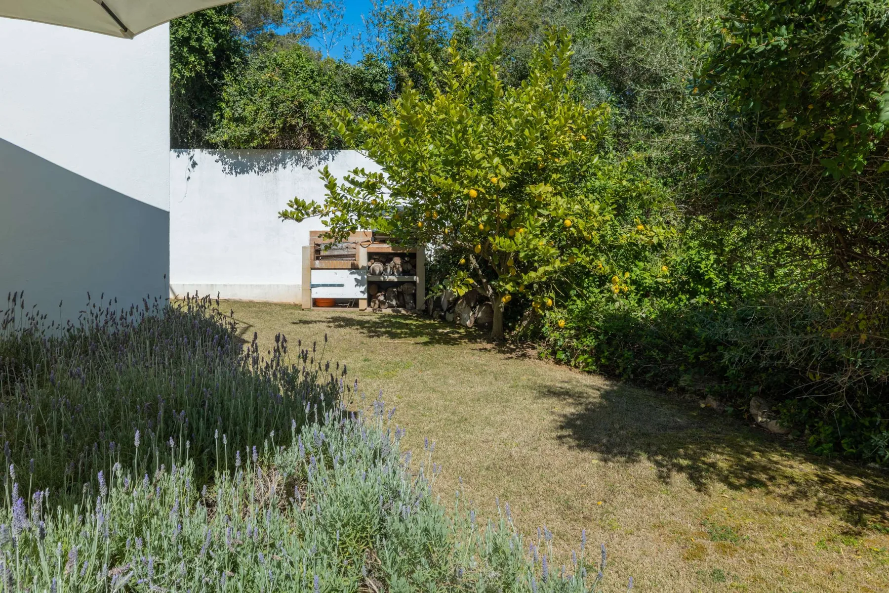 A garden beside a white building, with flowering plants and leafy trees.