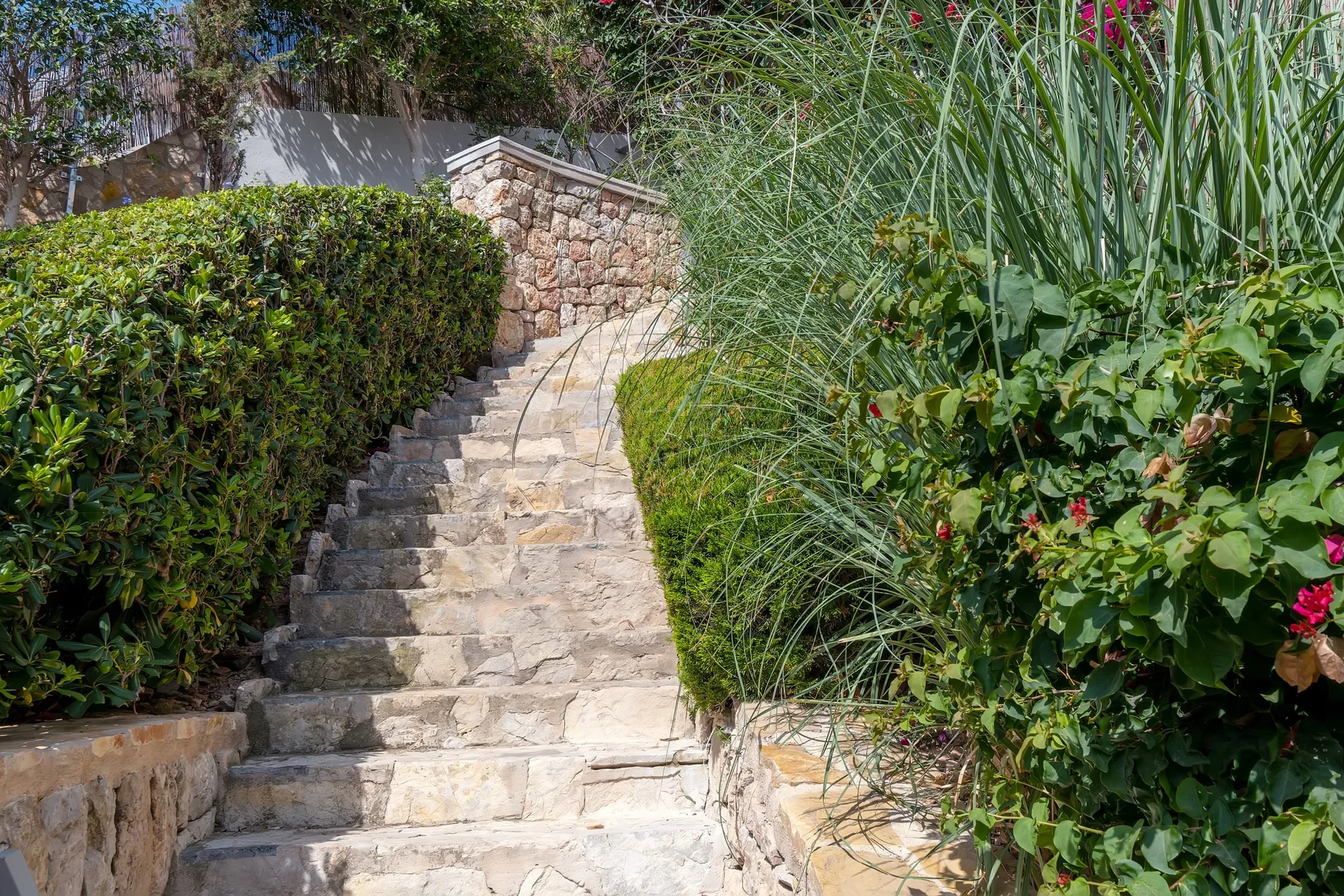 A stone garden staircase winds upward between leafy hedges and flowering plants.