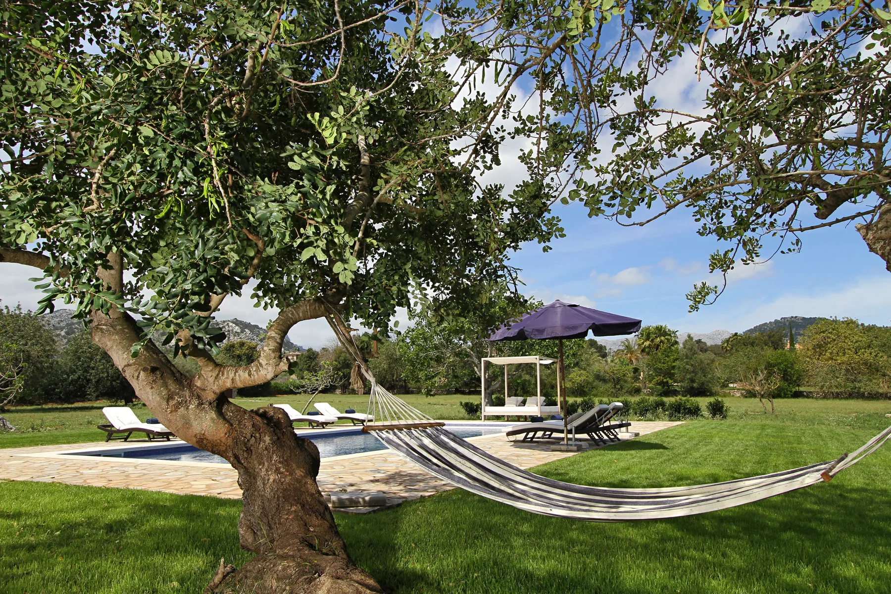 A garden with a swimming pool, hammock, and shaded seating beneath a large tree.