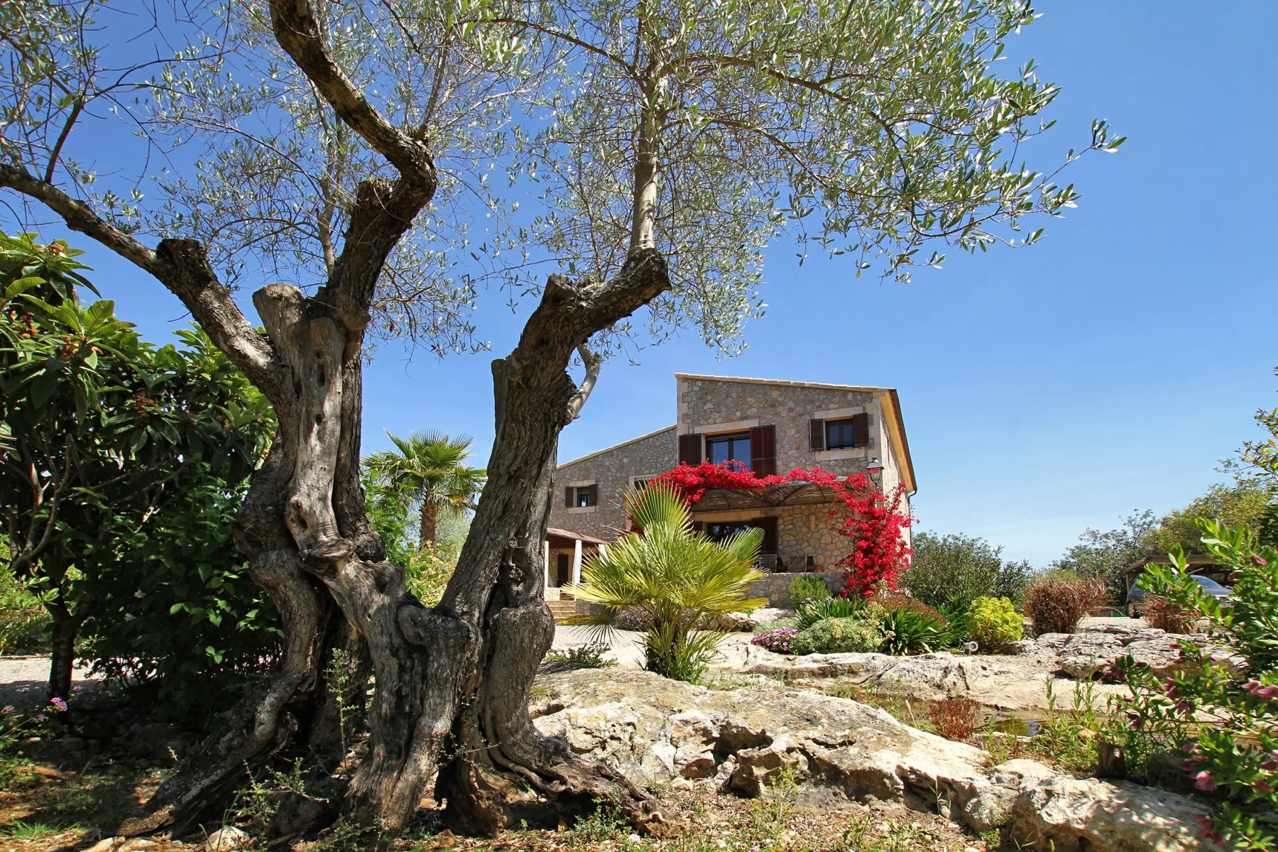 A stone house sits among trees and flowering plants in a sunny garden.