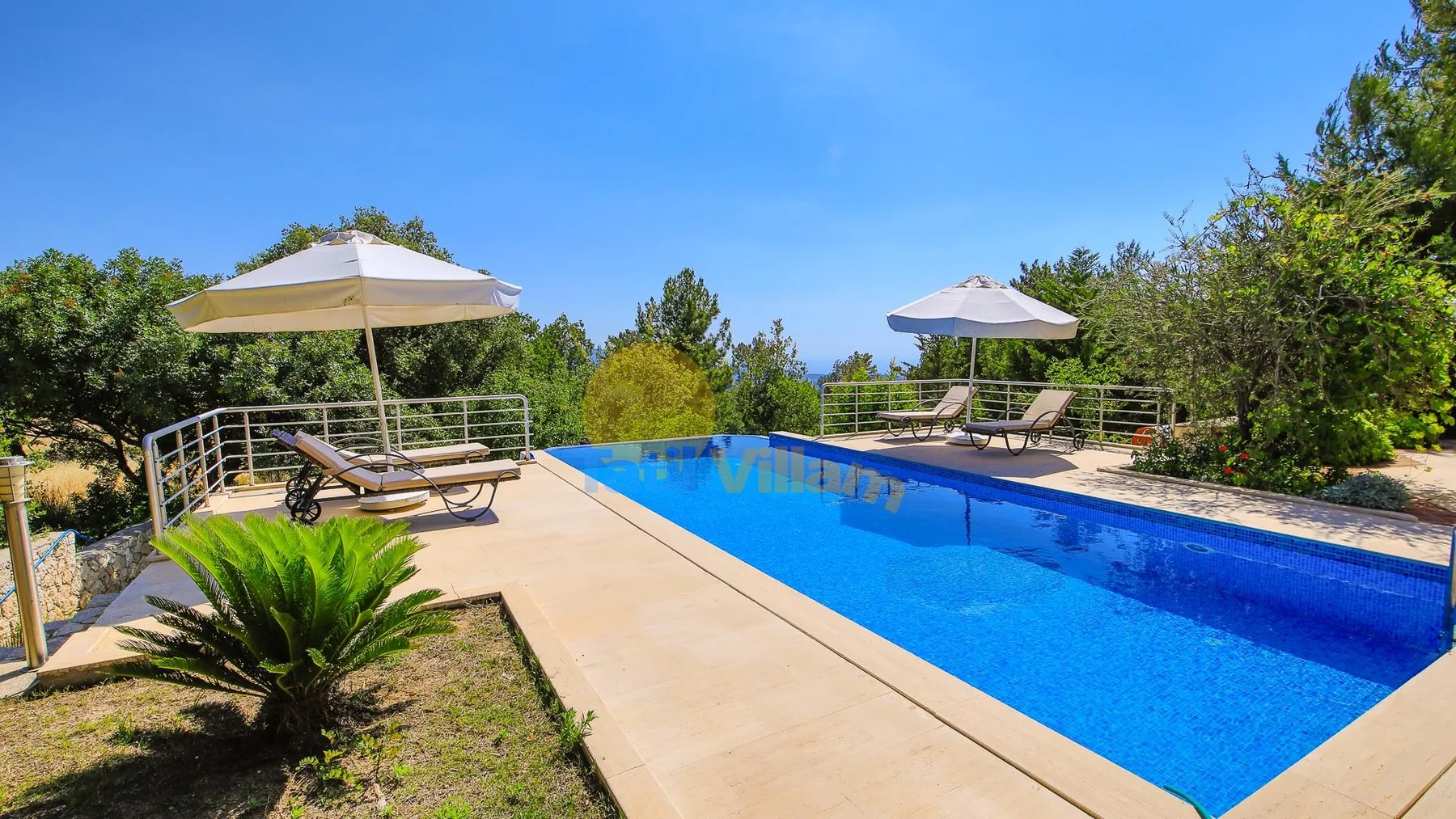 An outdoor swimming pool beside a sunlit patio with lounge seating and umbrellas.