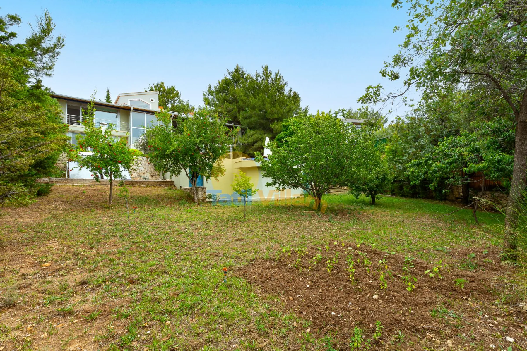 A green garden with trees and a lawn beside a low building.
