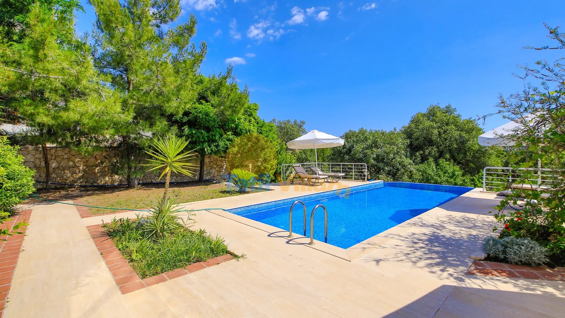 A swimming pool sits in a sunlit paved patio surrounded by greenery.