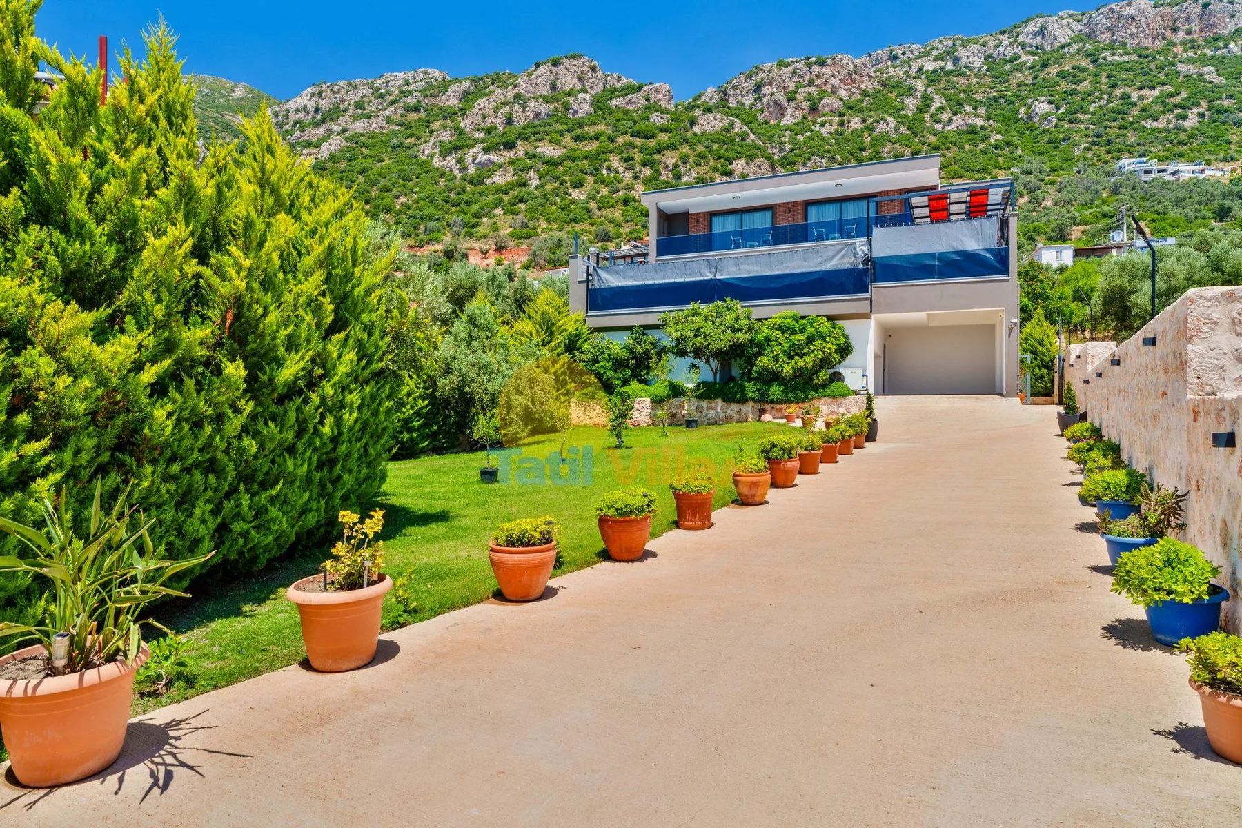 A modern house stands at the end of a paved driveway lined with potted plants.