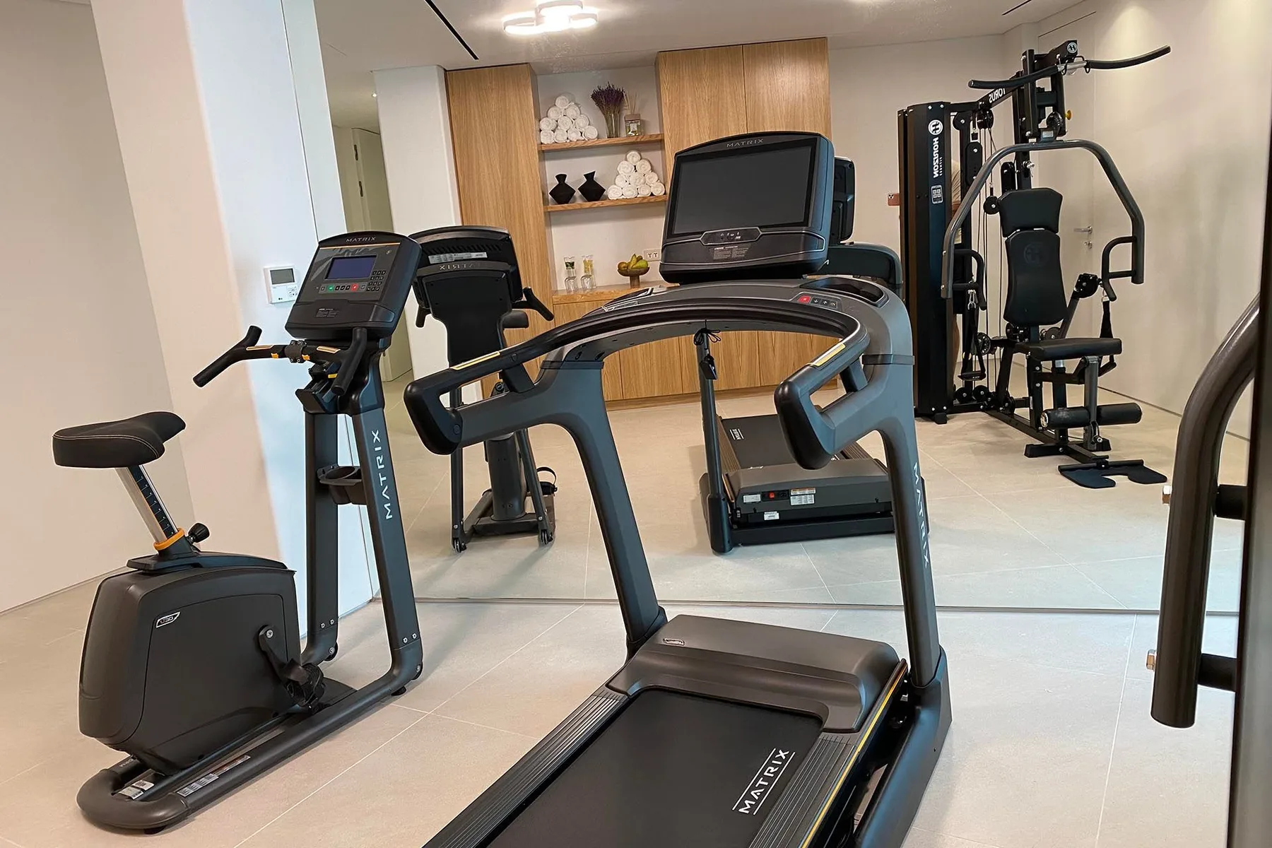 A home gym with treadmills, an exercise bike, and strength-training equipment.