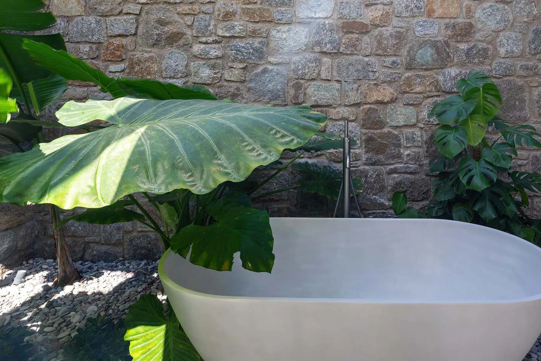 A white bathtub sits beside large leafy plants against a stone wall.