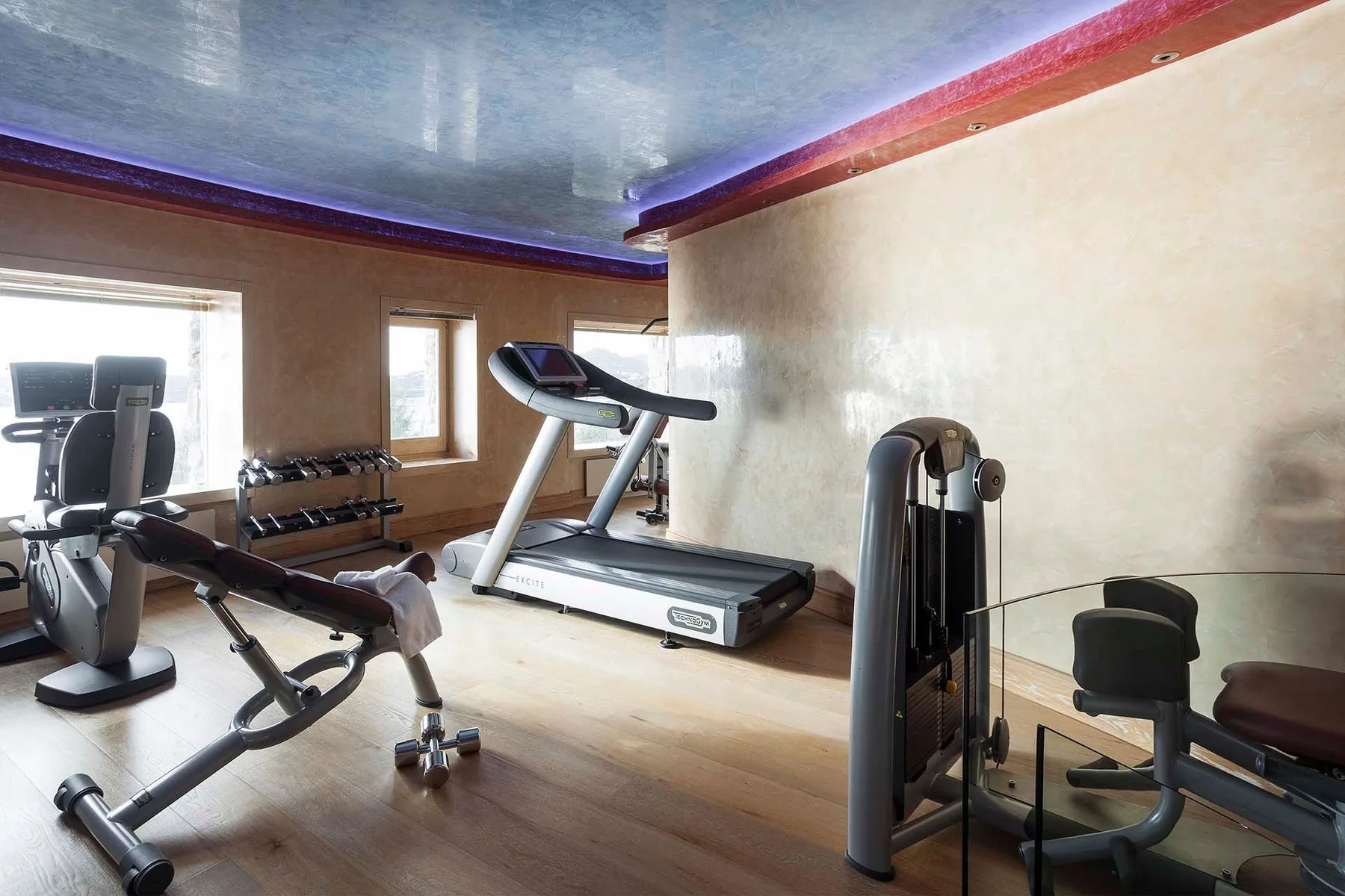 A home gym with exercise machines and a treadmill.
