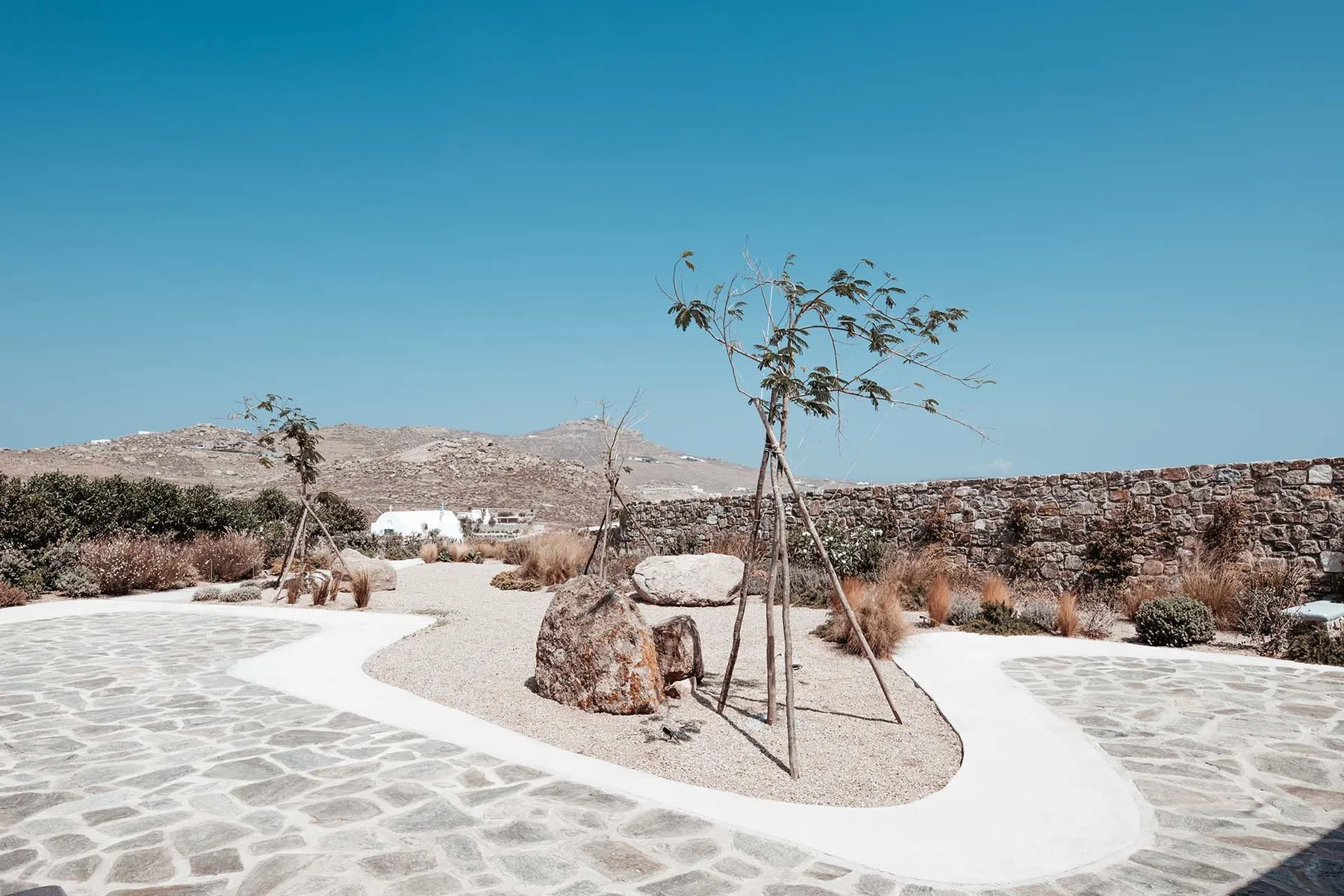 An outdoor courtyard with a young tree planted in a gravel bed.