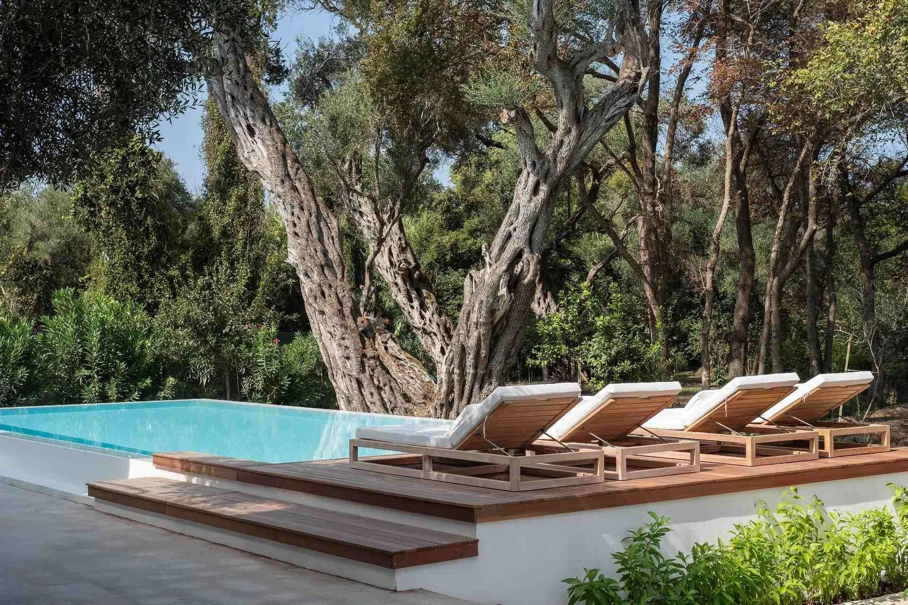Whitney Villa in Corfu