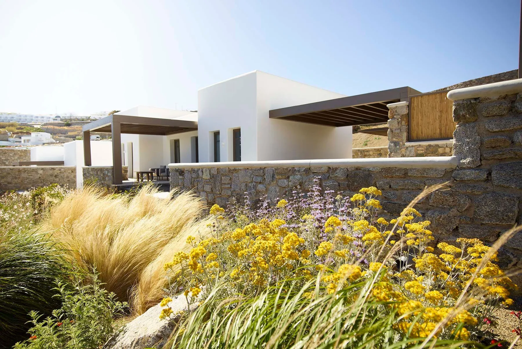 A modern house stands behind a low stone wall and flowering grasses.