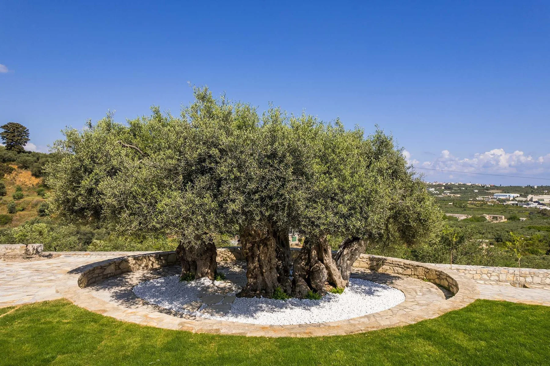 Olivania villa in Crete