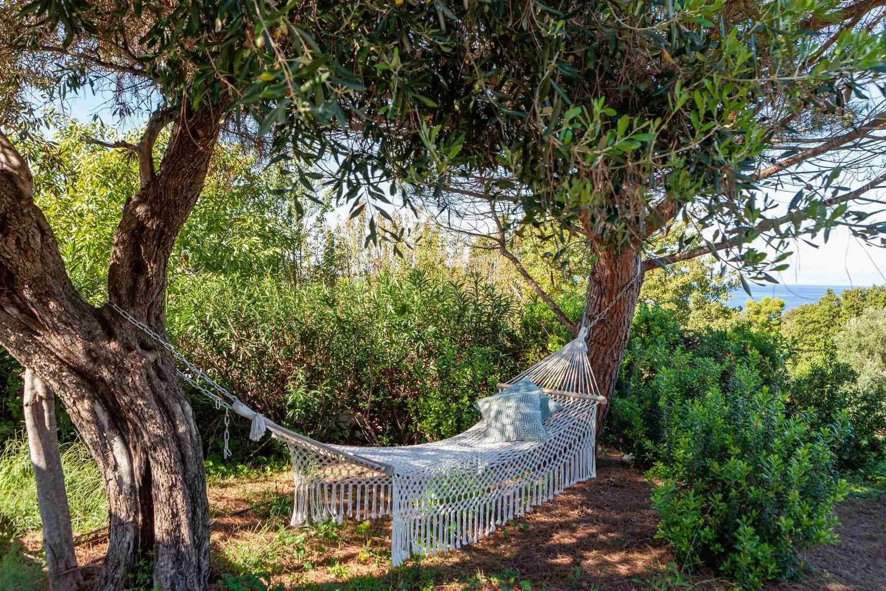 Wisteria villa in Corfu