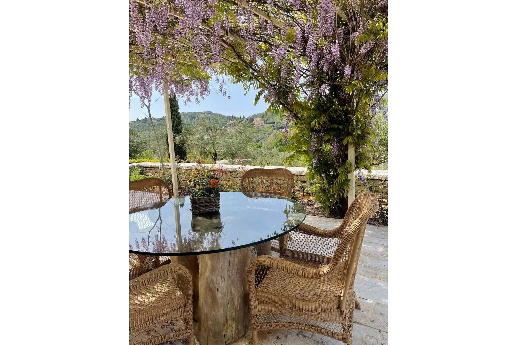 Wisteria villa in Corfu
