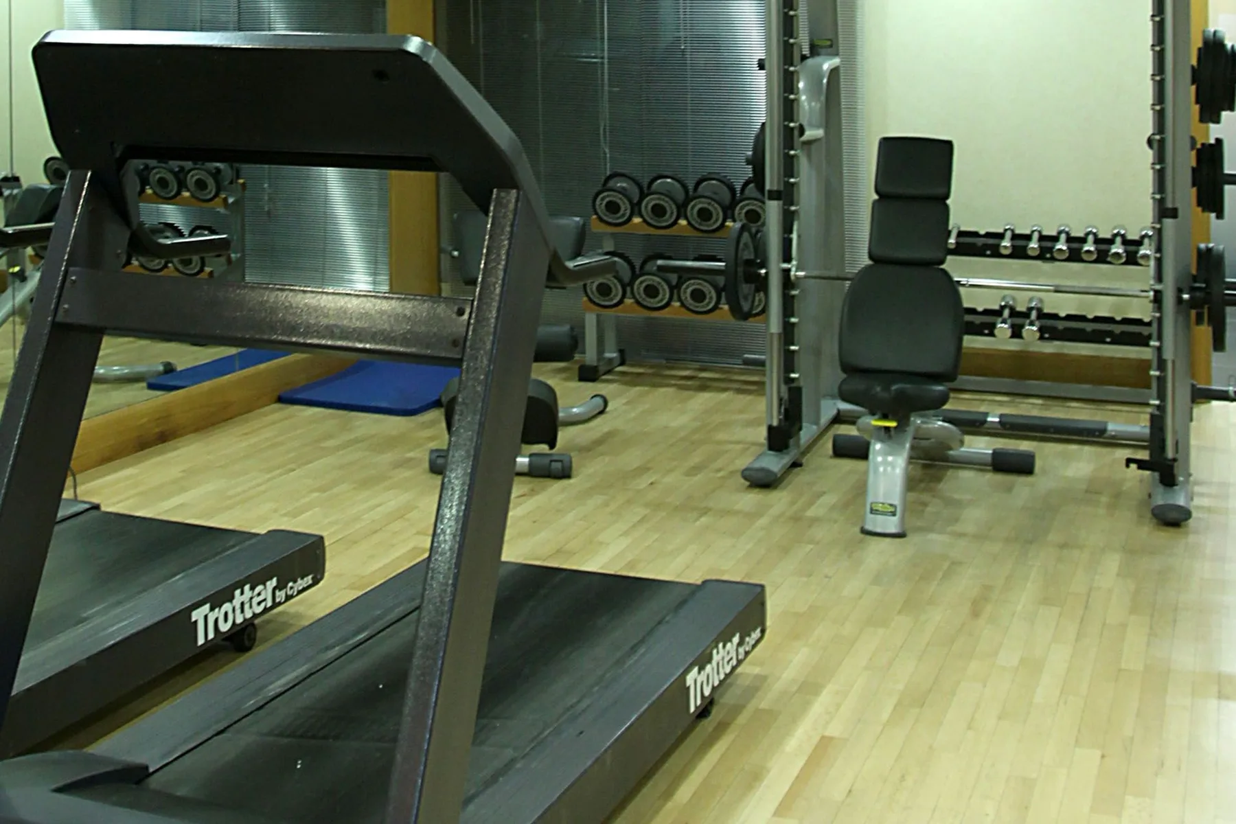 A gym workout area with weight machines, dumbbells, and exercise benches.