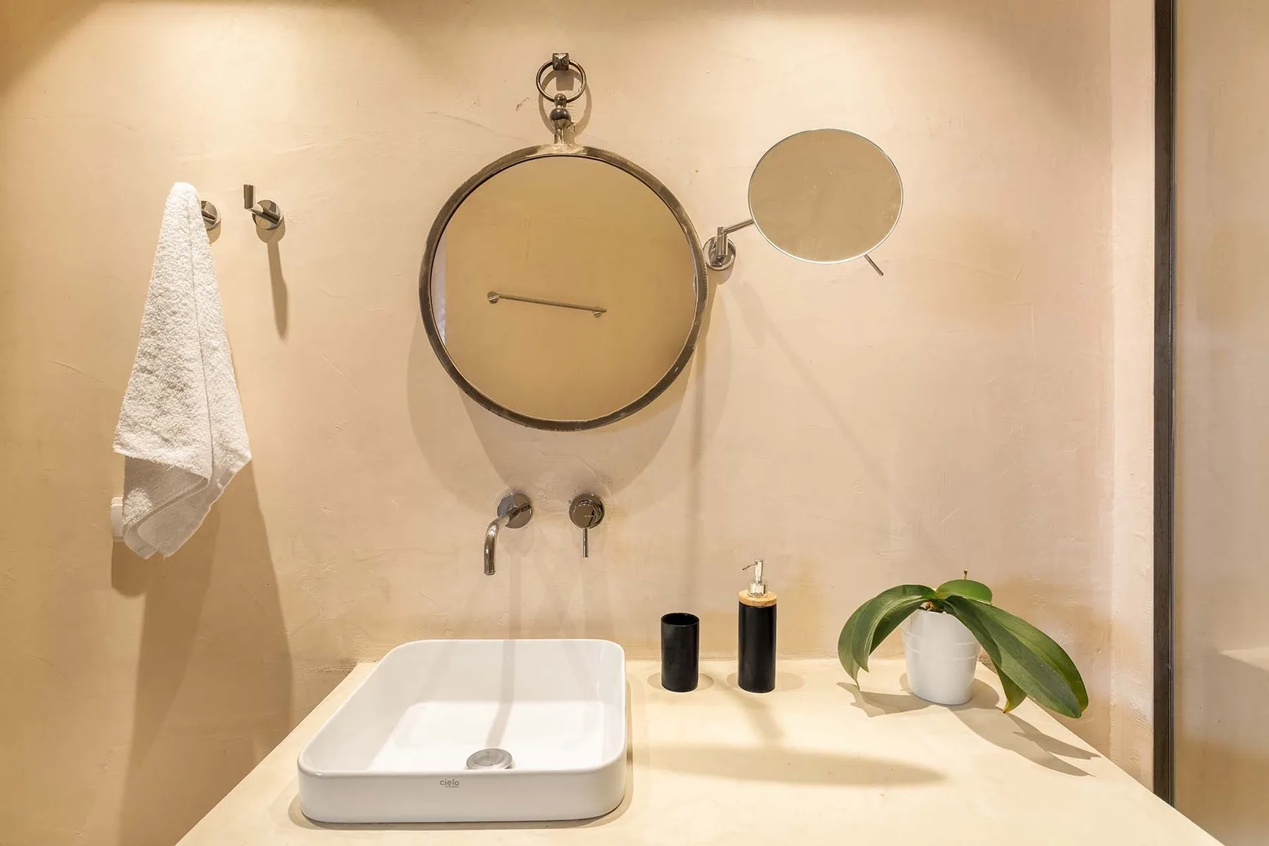 A bathroom vanity with a white sink, round mirror, and potted plant.