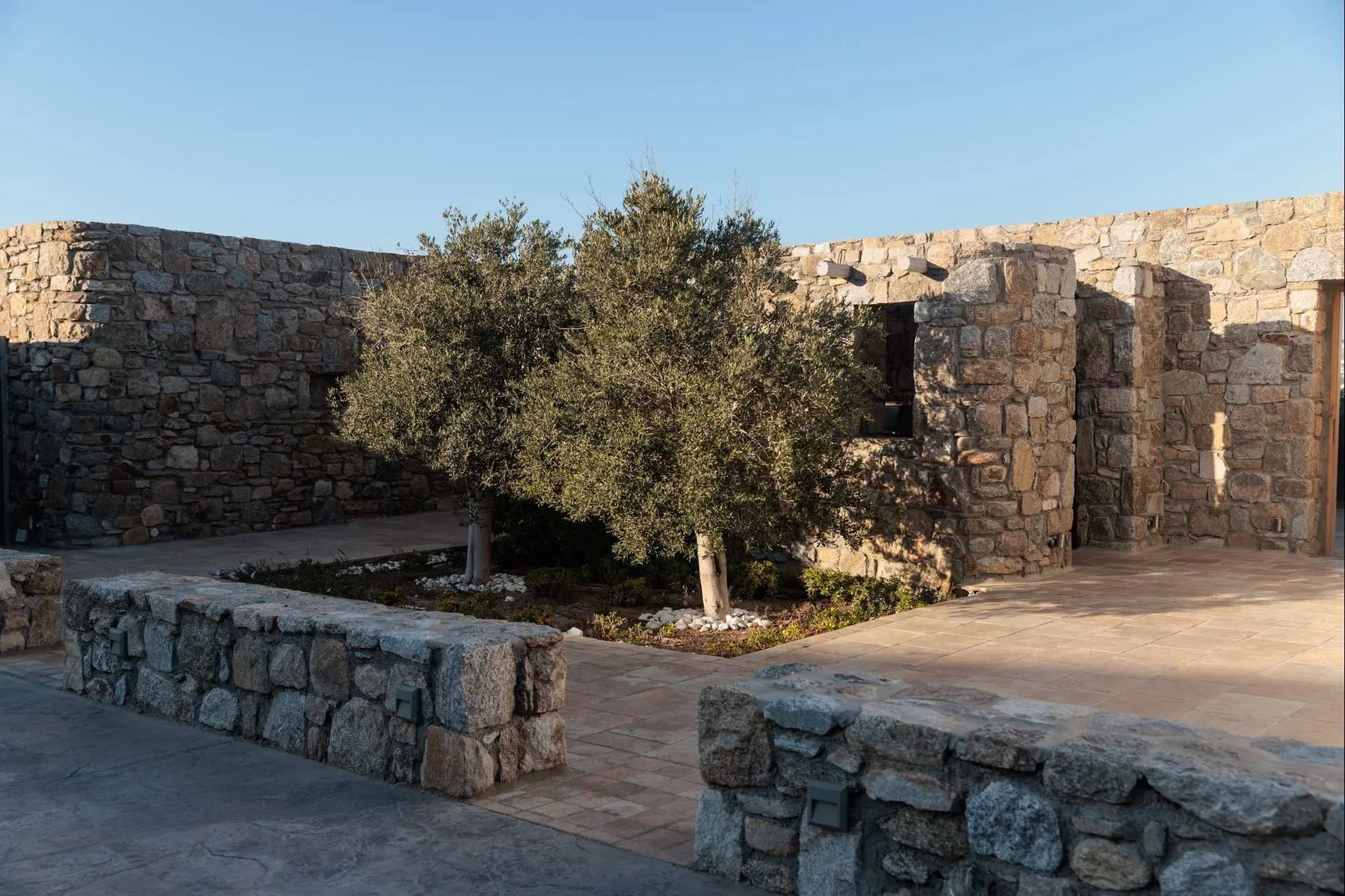 A stone courtyard with a tree and paved walkways.
