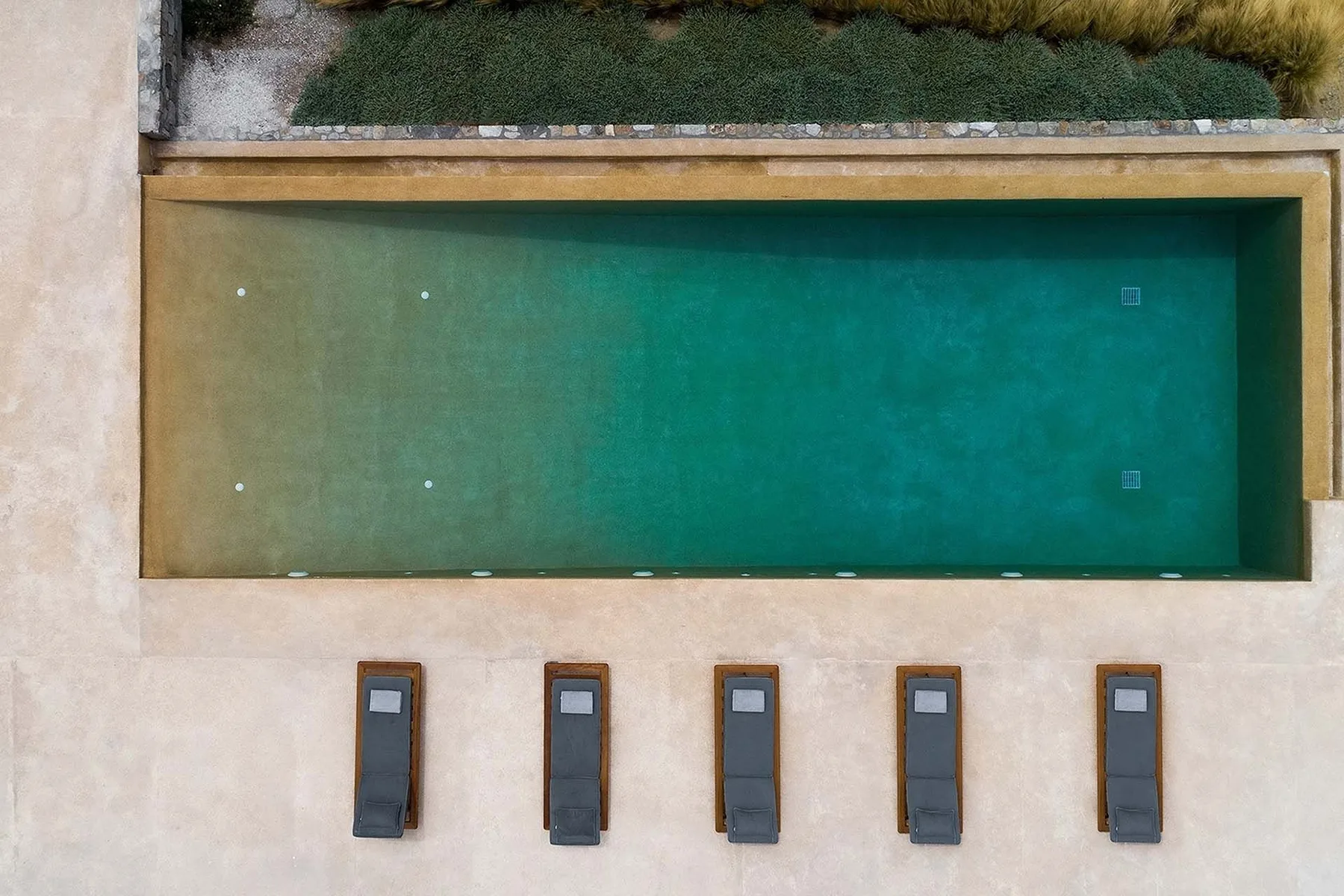 An outdoor swimming pool bordered by pale paving and a strip of greenery.