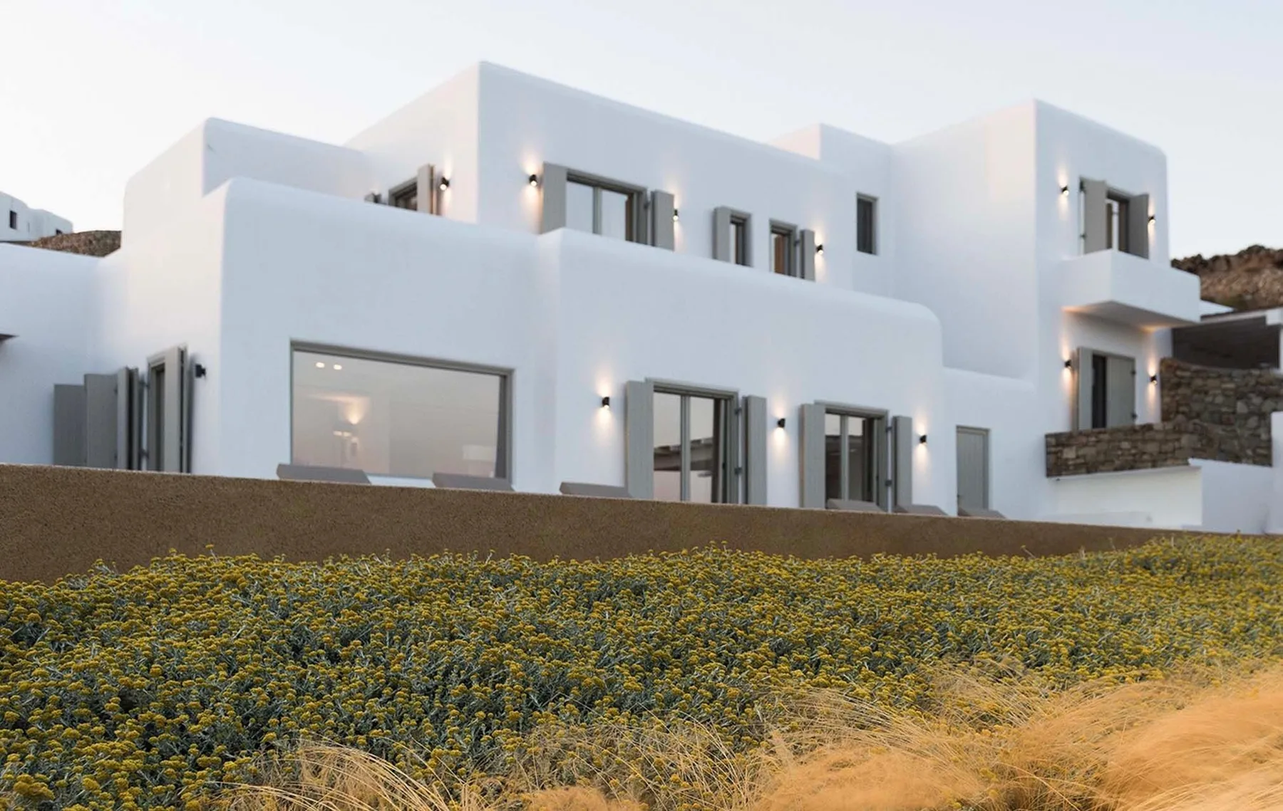 A modern white building stands behind a field of low flowering plants.