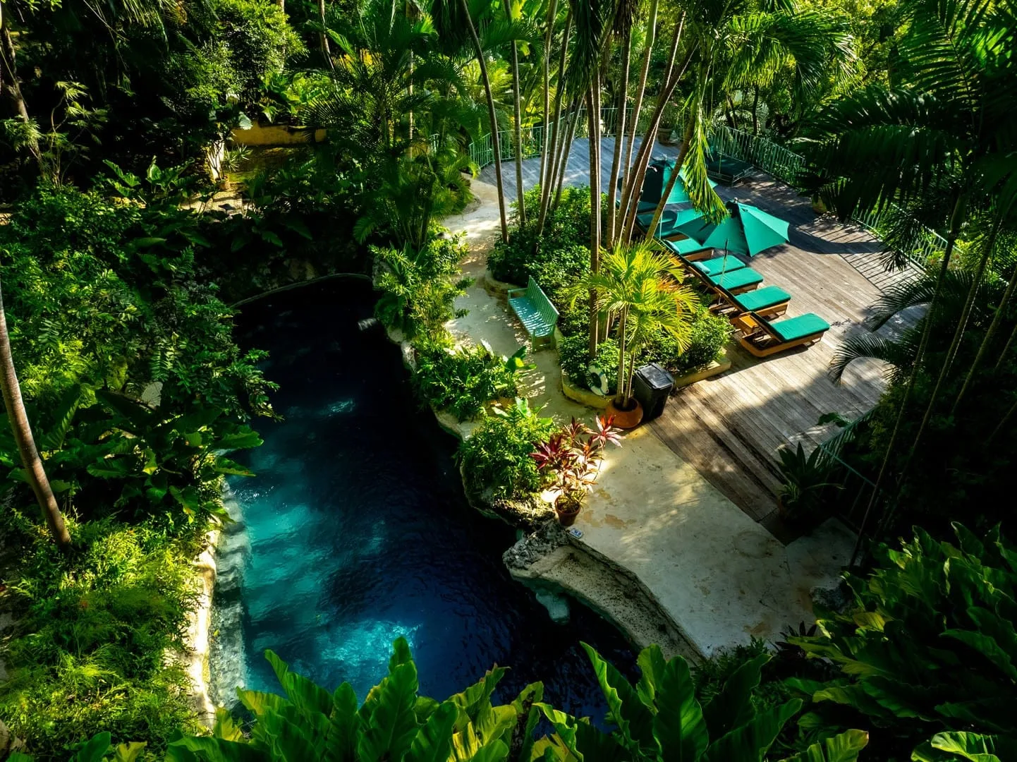 A swimming pool winds through dense tropical greenery beside a wooden deck.