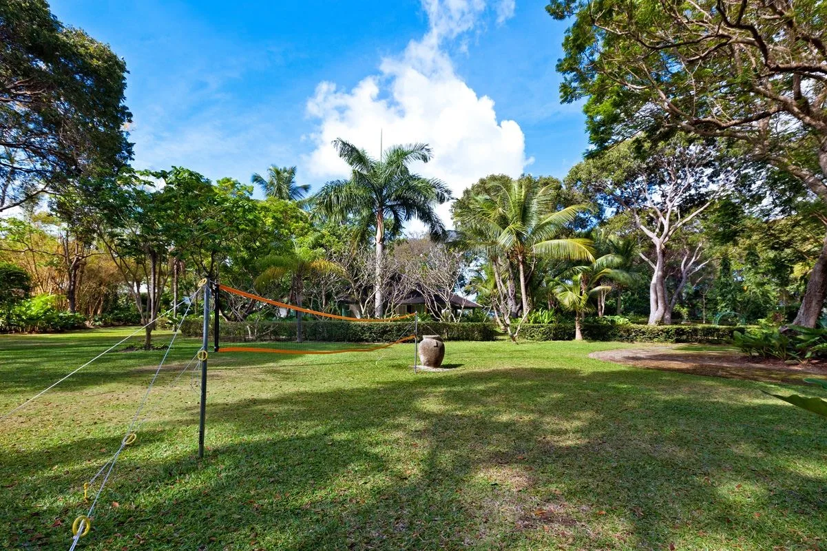 A grassy garden with a volleyball net and palm trees.
