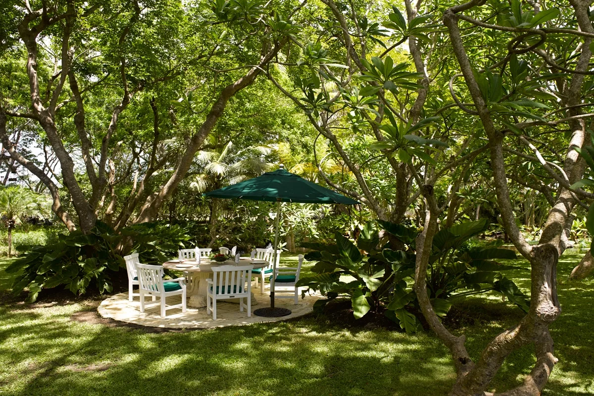 A shaded garden seating area with white outdoor furniture beneath a canopy of trees.