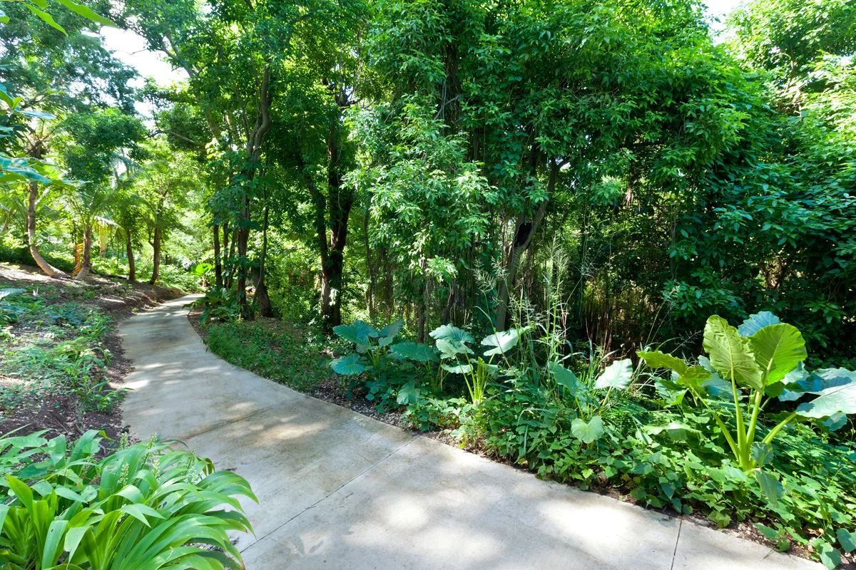 A winding garden path passes through dense green trees and foliage.
