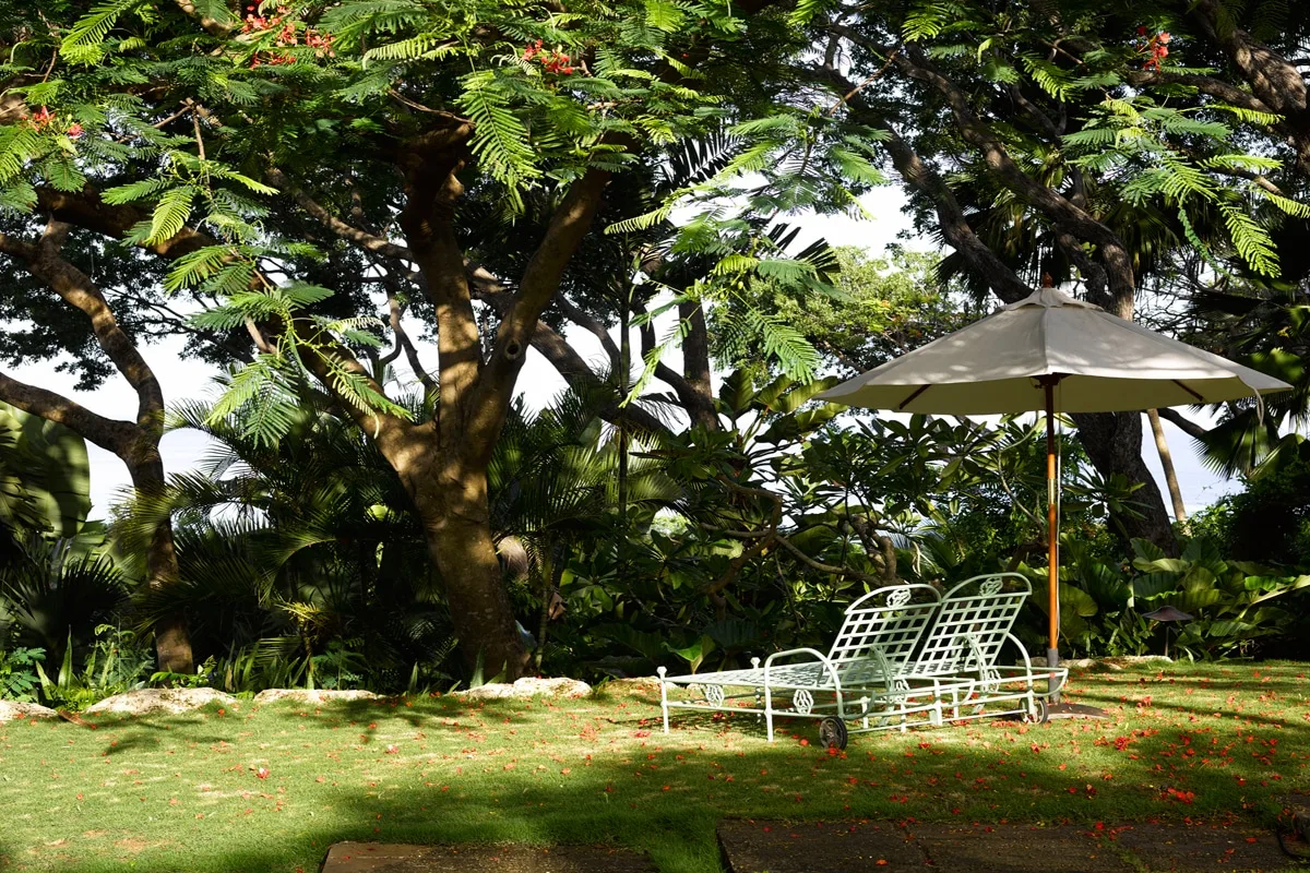A garden with white outdoor seating beneath leafy trees and a sun umbrella.