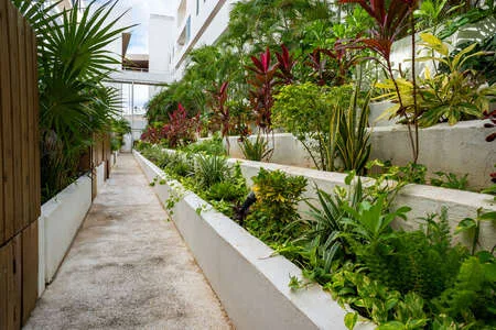 Zona común