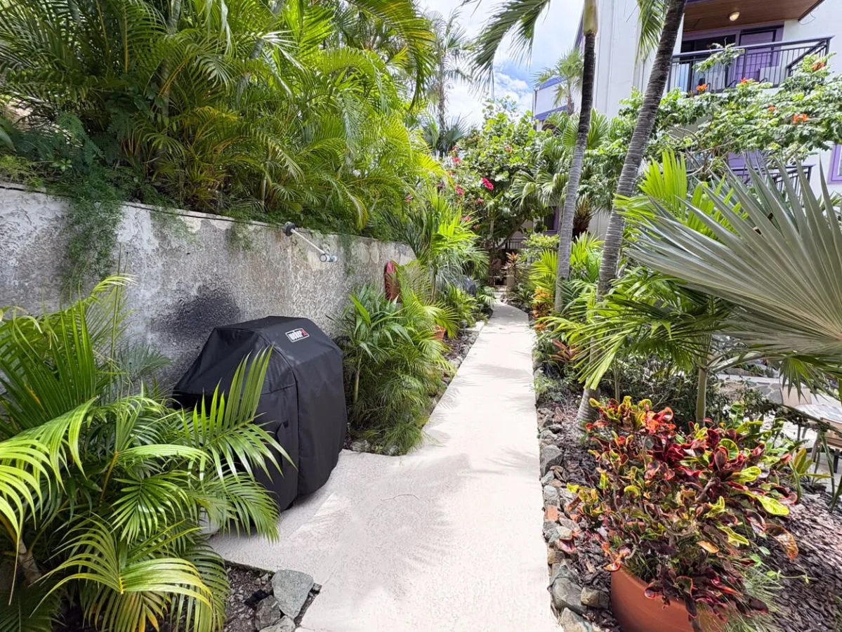 Zona común: Un sendero de jardín pasa entre plantas tropicales y un muro bajo de piedra.