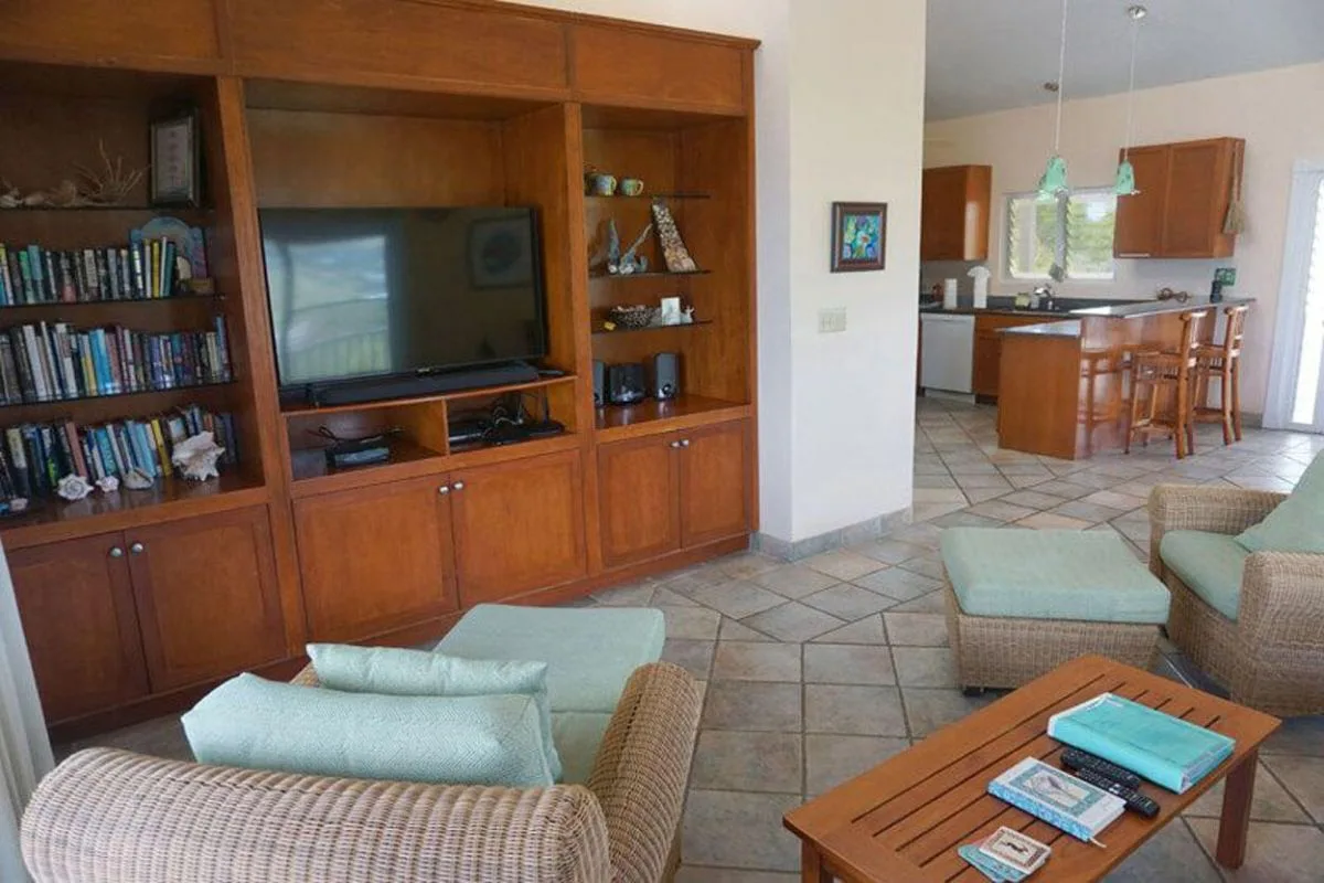 A living room with built-in wooden shelving and a television, open to a kitchen.