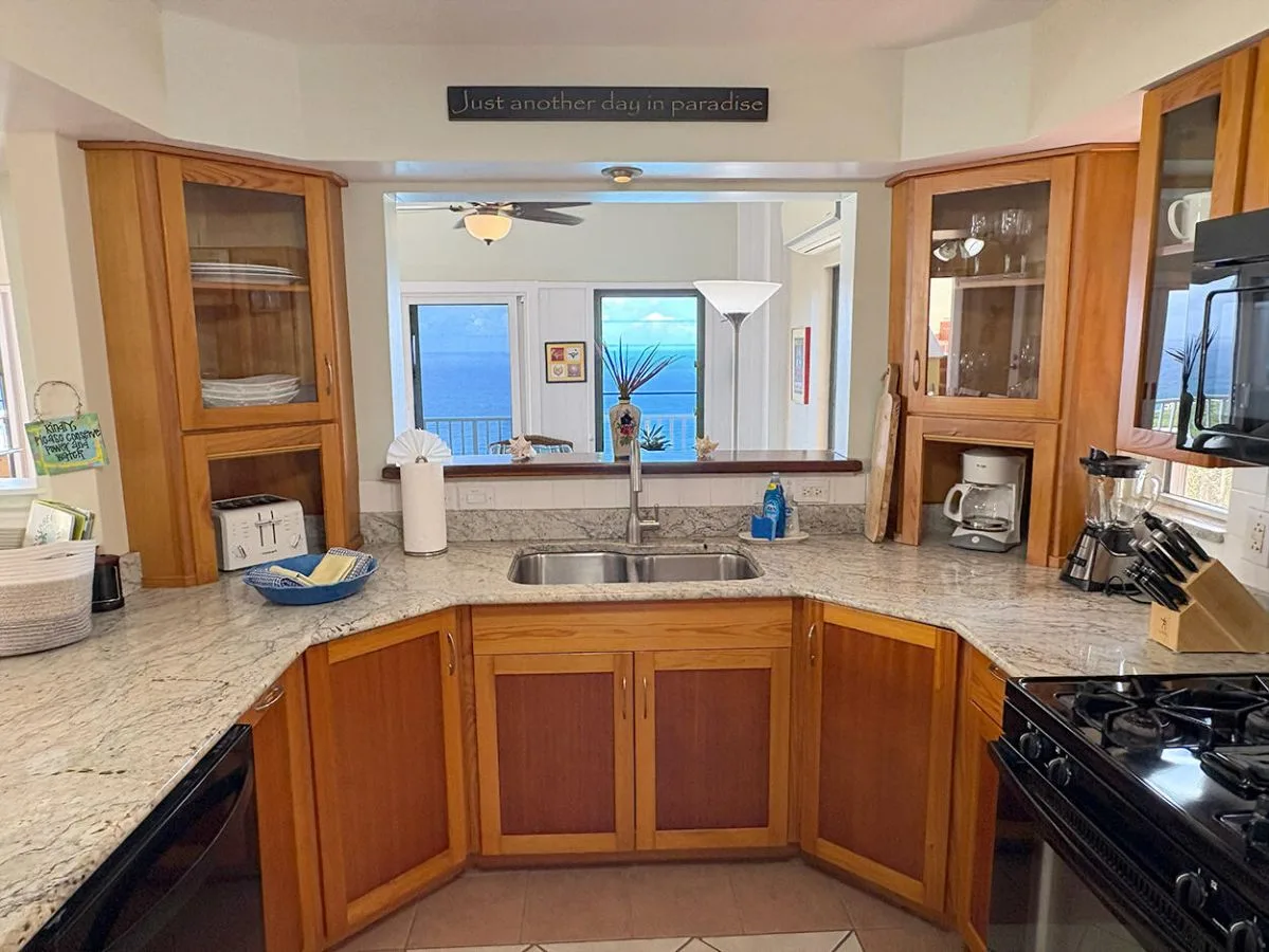 Una cocina con un fregadero central y gabinetes de madera bajo una ventana.