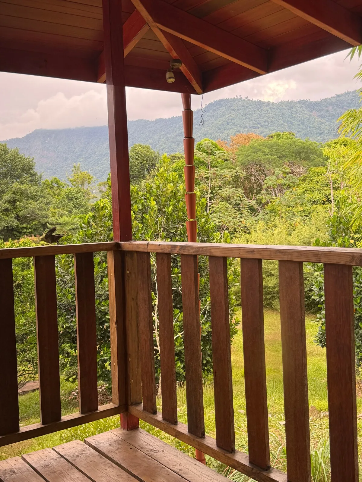Casa Quetzal Jungle Treehouse•6 Private Waterfalls