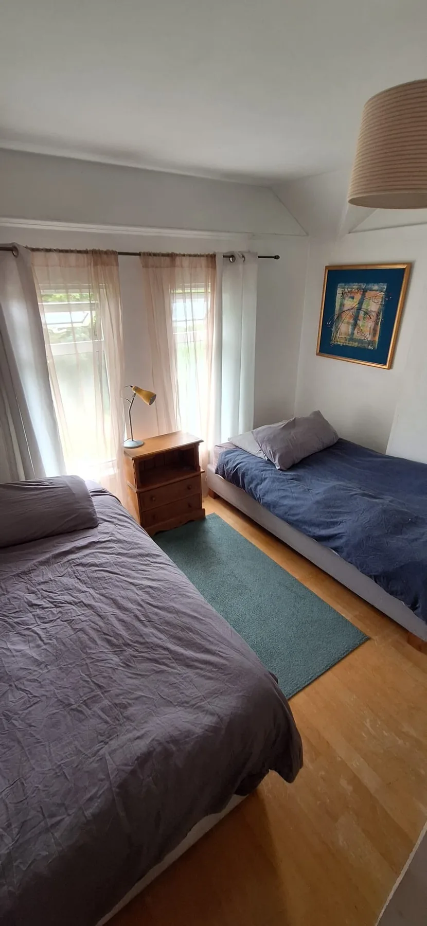 A bedroom with two beds, a blue rug, and bright curtained windows.