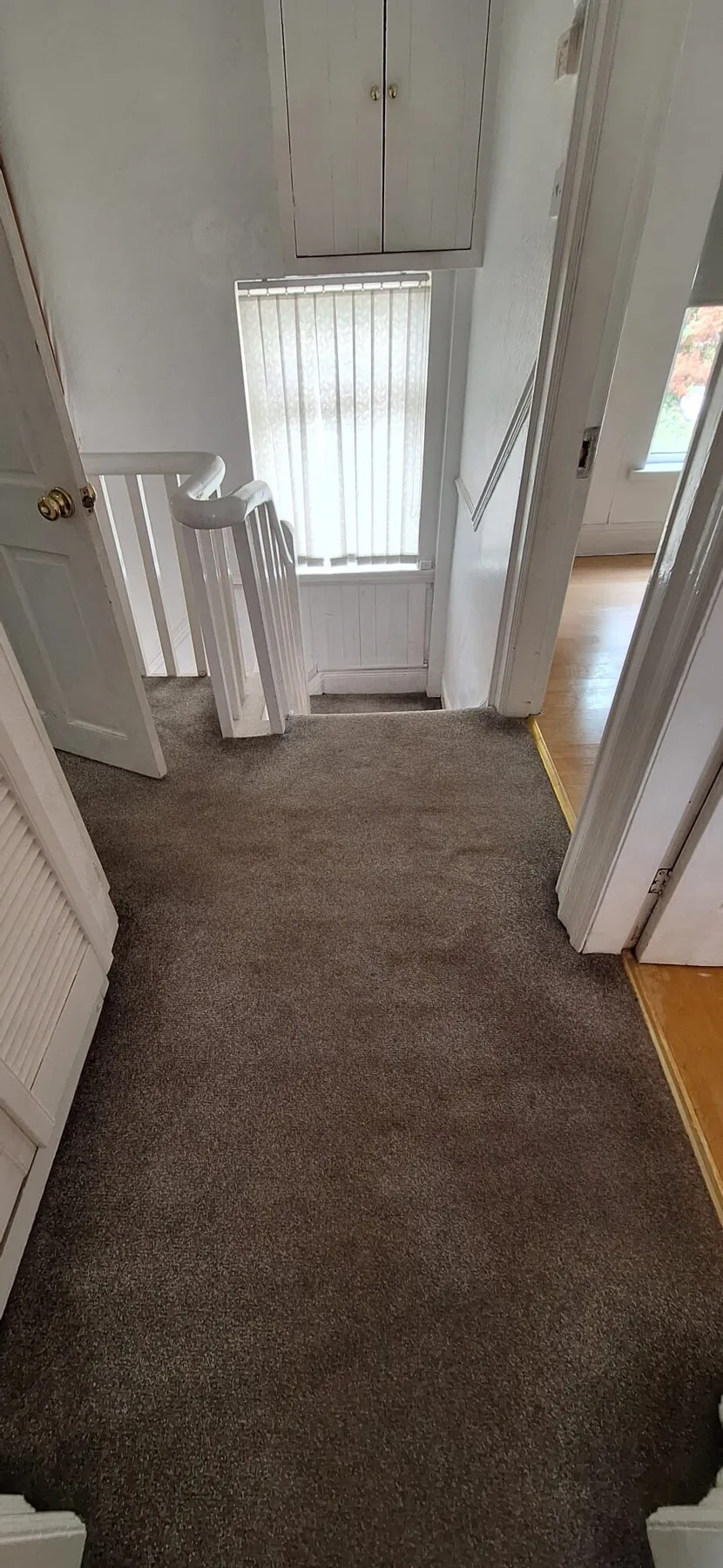 A carpeted hallway leads to a glass-paneled door with vertical blinds.