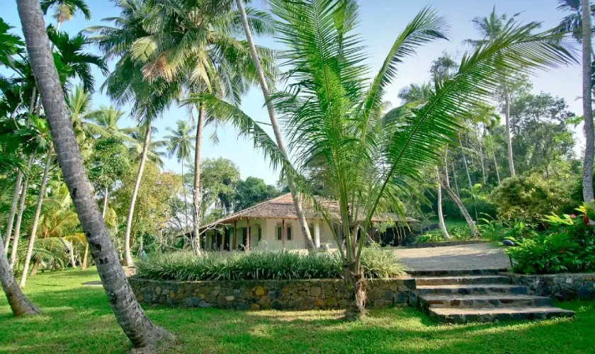 Ivory House