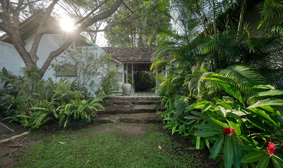 Sisindu Tea Estate