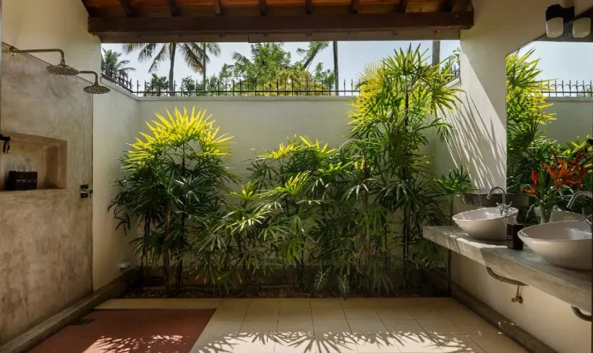 Coconut Grove