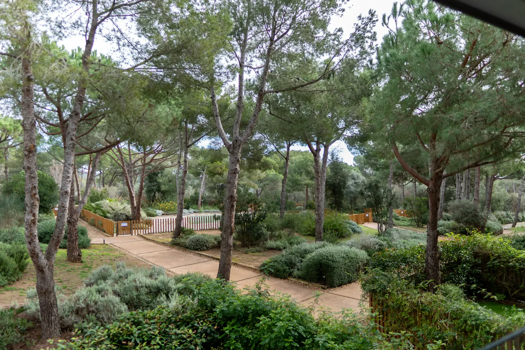 Shared amenity: A landscaped garden path winds among trees and shrubs.
