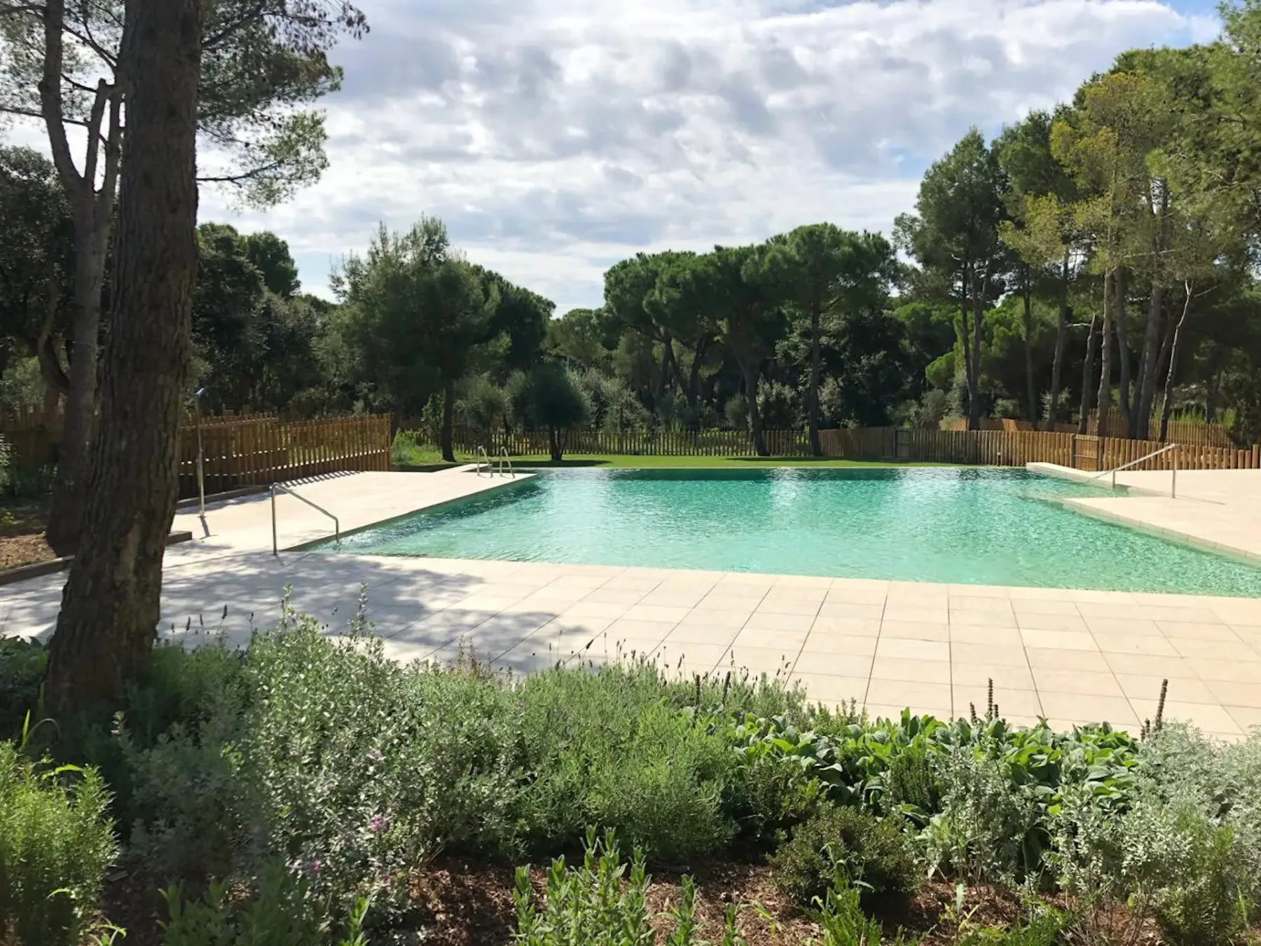 Shared amenity: An outdoor swimming pool is surrounded by a paved deck and trees.