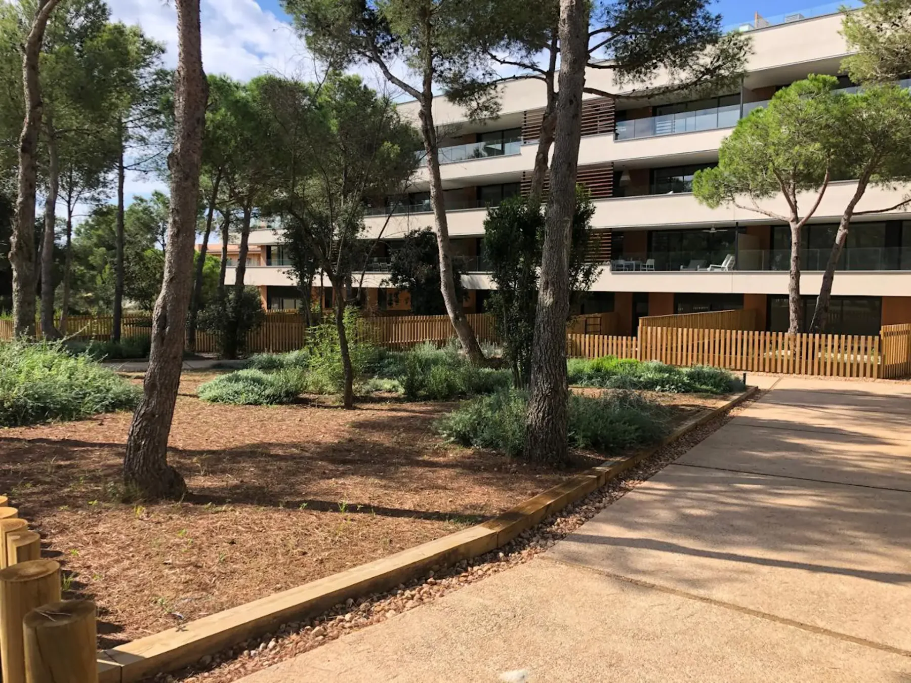 Shared amenity: A landscaped courtyard with trees and a paved walkway beside a modern building.