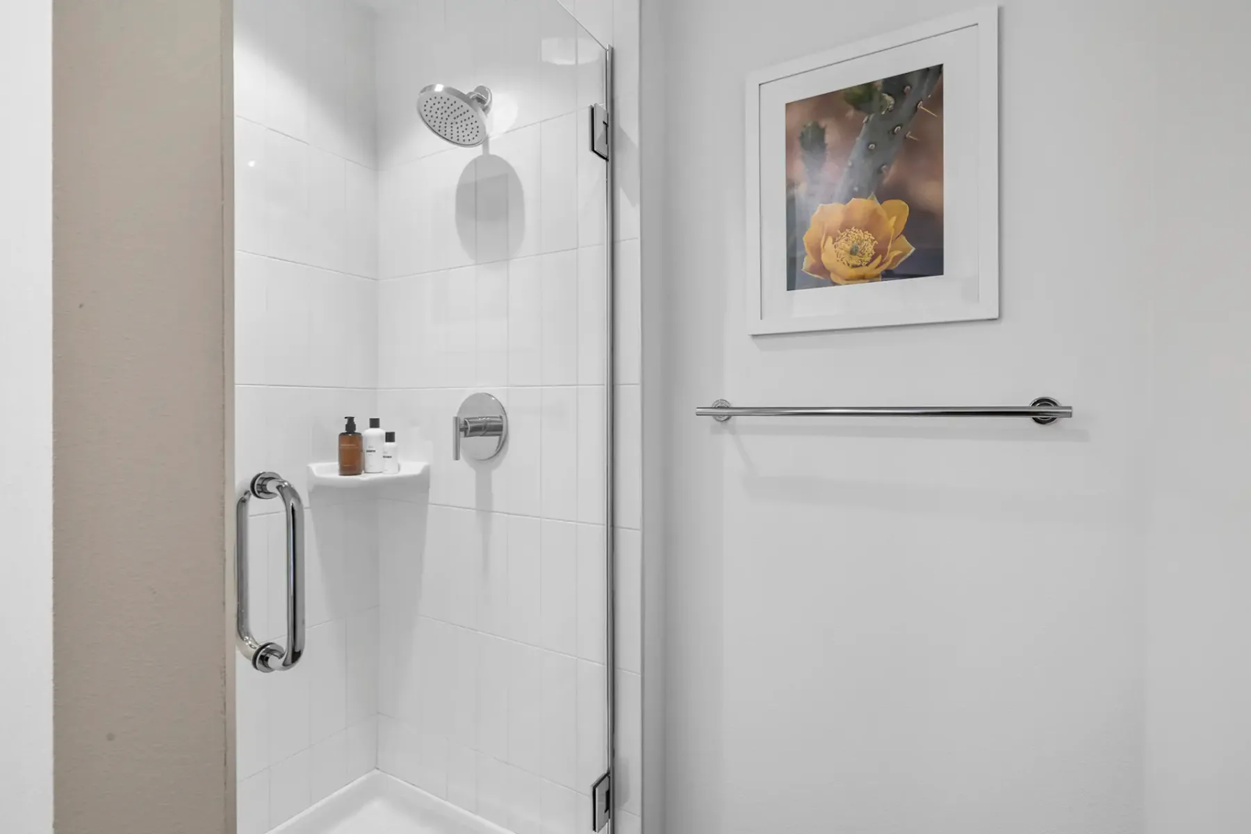 Apartment Ironwood