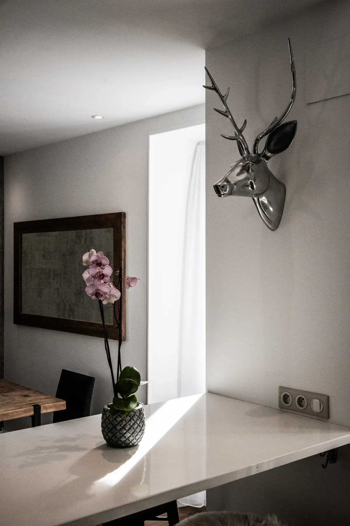Apartment Brina