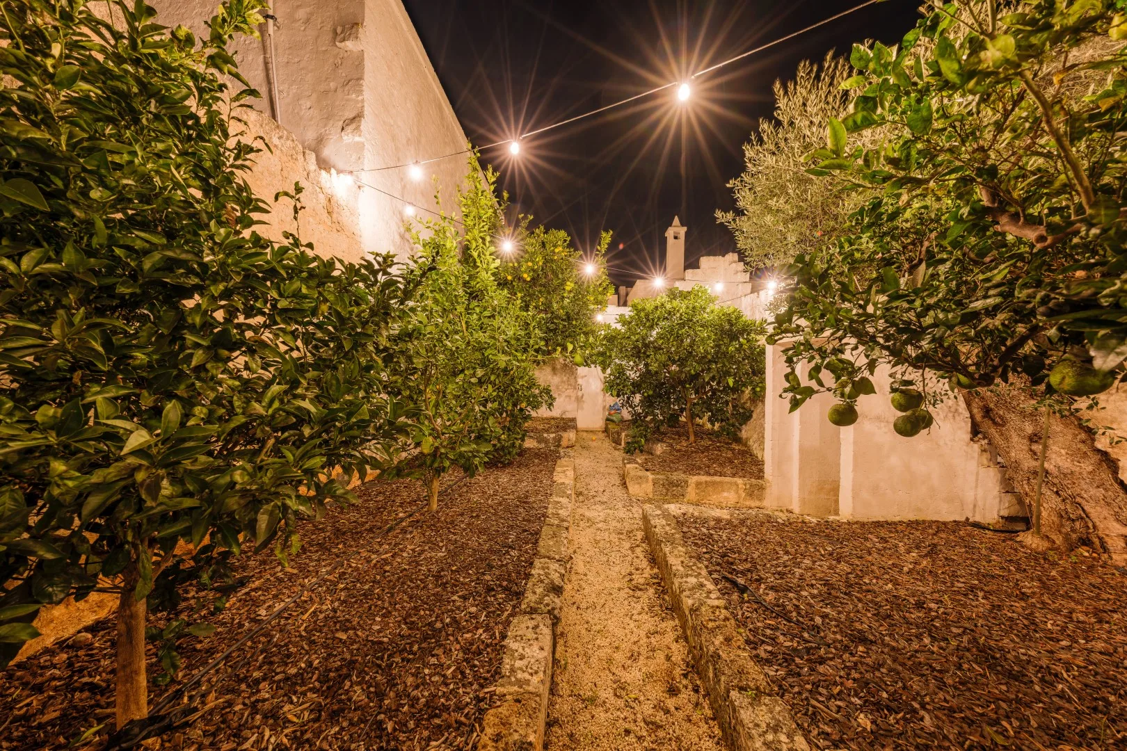 OPUNTIA TRULLI E LAMIE 10 - Puglia
