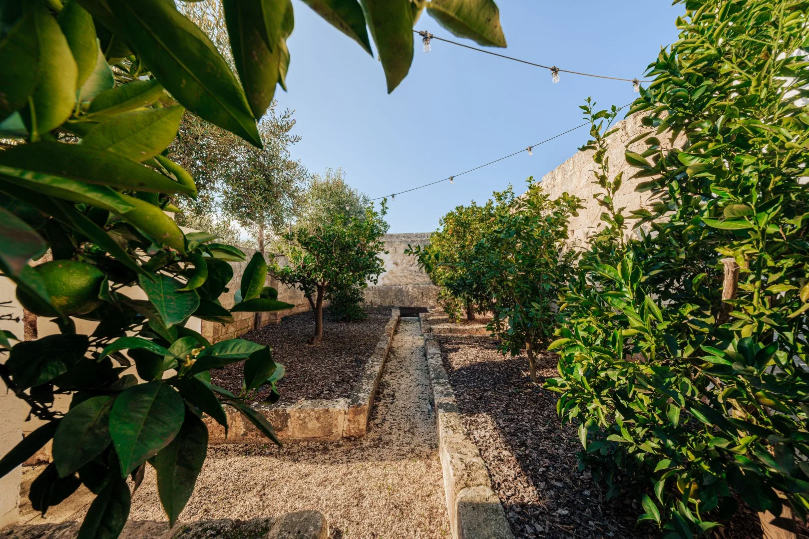 OPUNTIA TRULLI E LAMIE 10 - Puglia