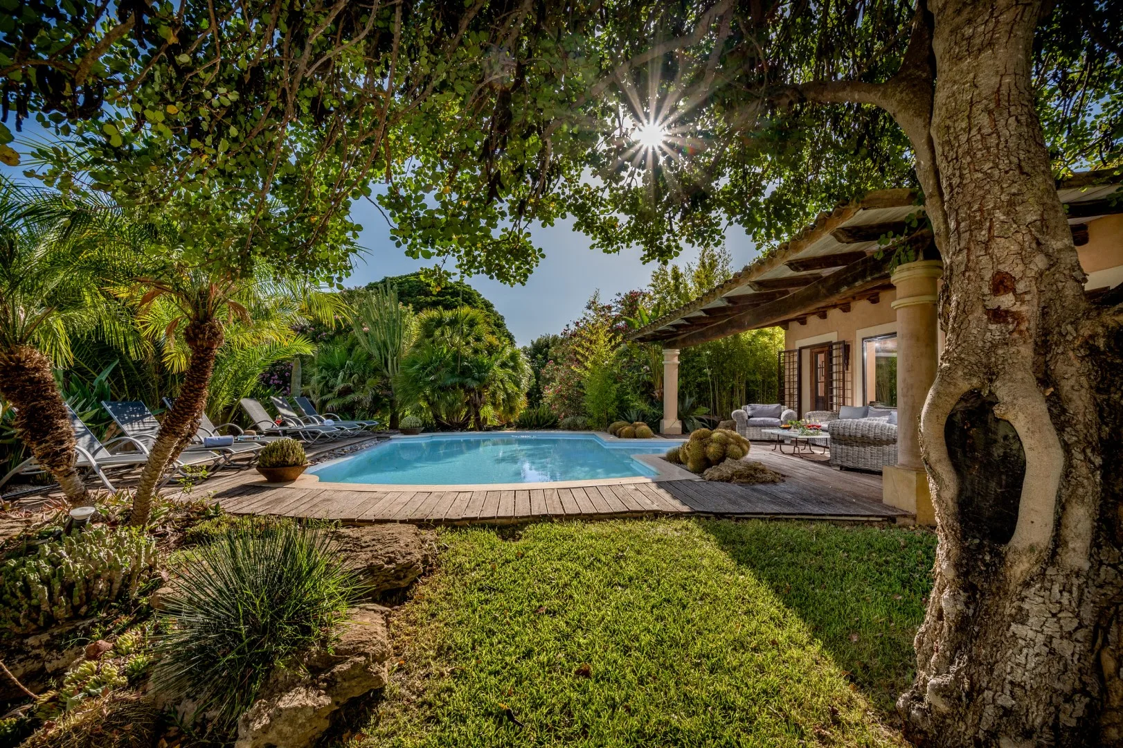Una piscina exterior está junto a un patio cubierto, rodeada de abundante vegetación.