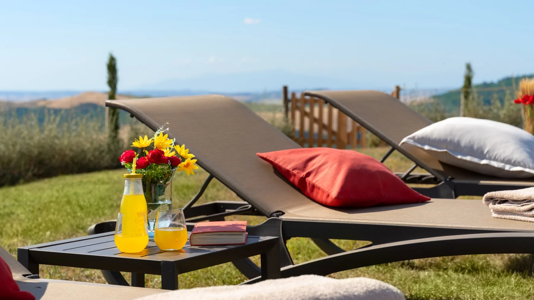 Outdoor loungers overlook a grassy landscape, with drinks and flowers on a small table.